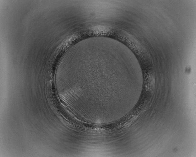 X0000097300644200803141533