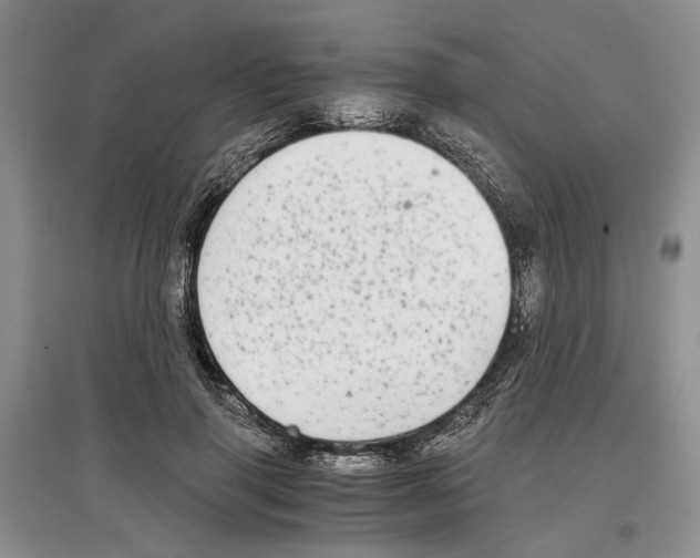 X0000097300645200803141533