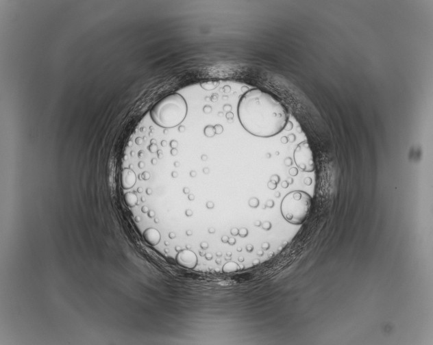 X0000097300646200803141533