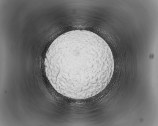 X0000097300647200803141533