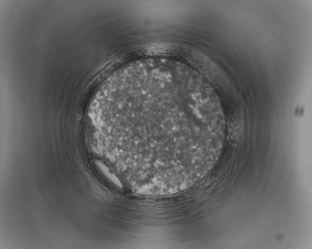 X0000097300648200803141533