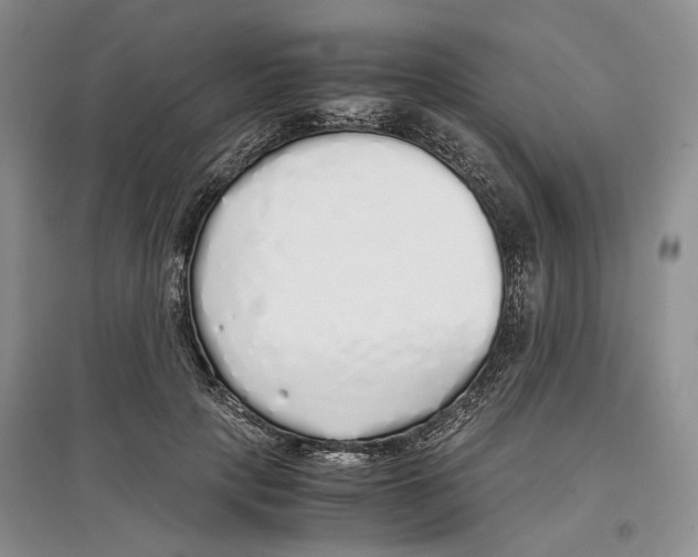 X0000097300649200803141533