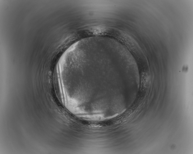 X0000097300650200803141533