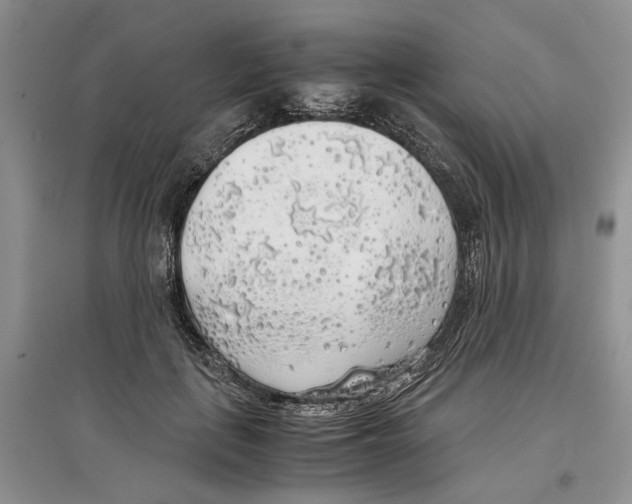 X0000097300651200803141533