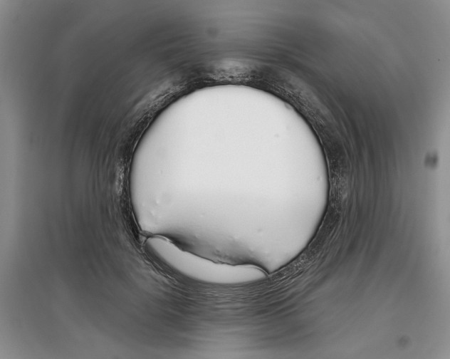 X0000097300652200803141533