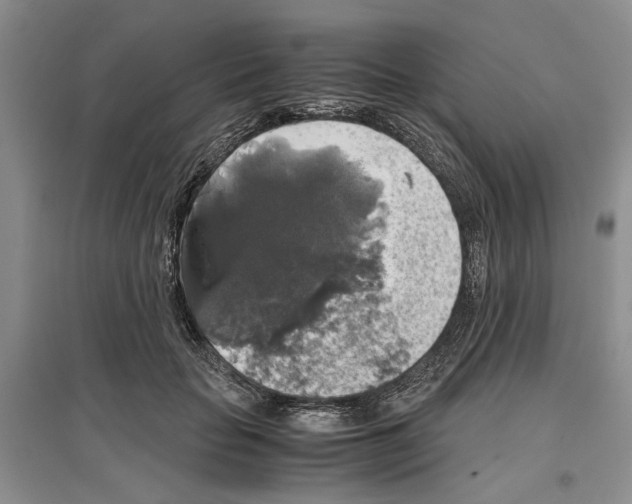 X0000097300653200803141533
