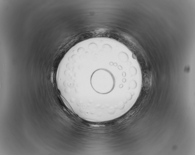 X0000097300654200803141533