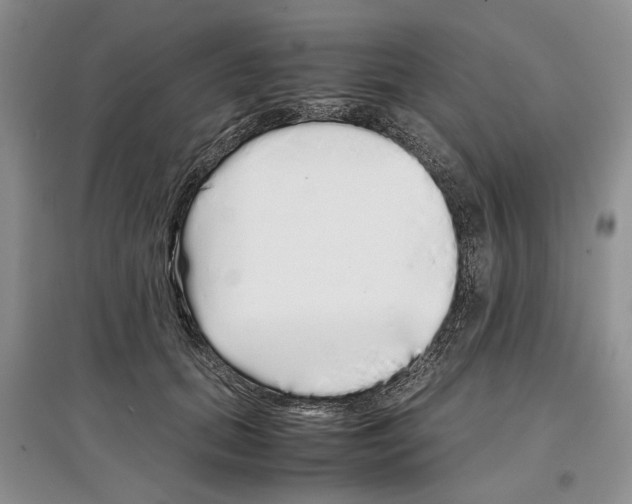X0000097300655200803141533