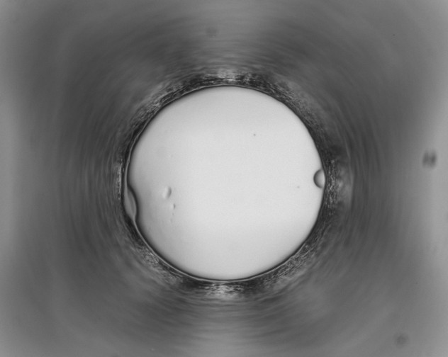 X0000097300656200803141533