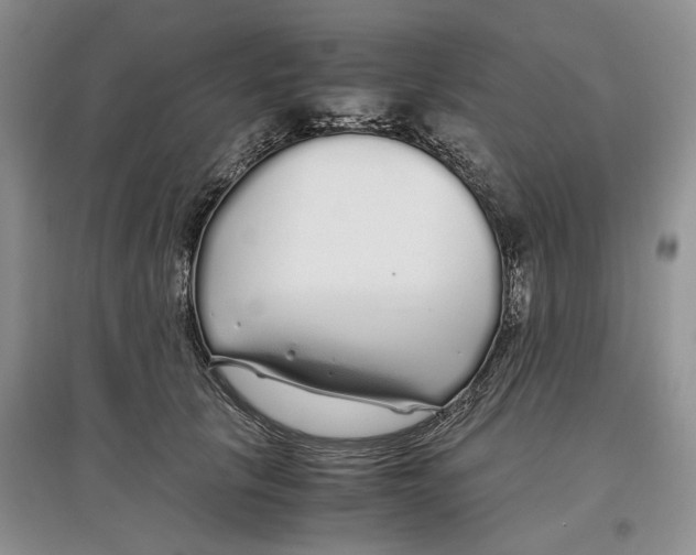 X0000097300657200803141533