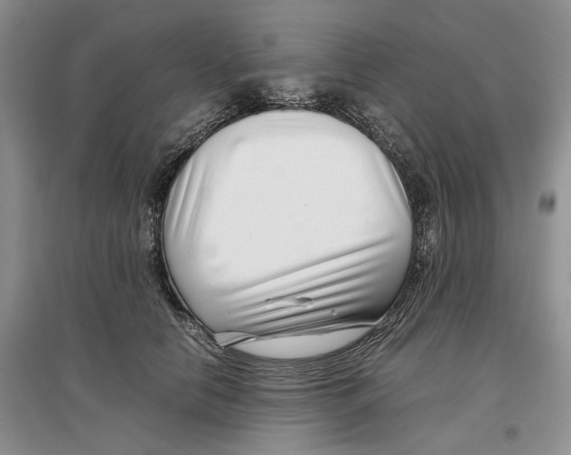 X0000097300658200803141533