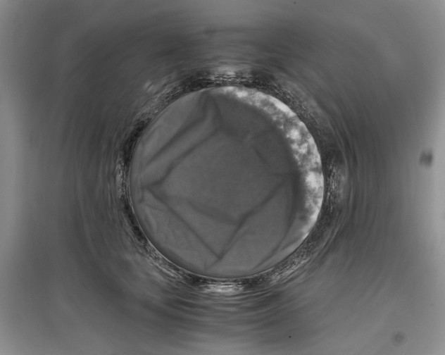 X0000097300659200803141533