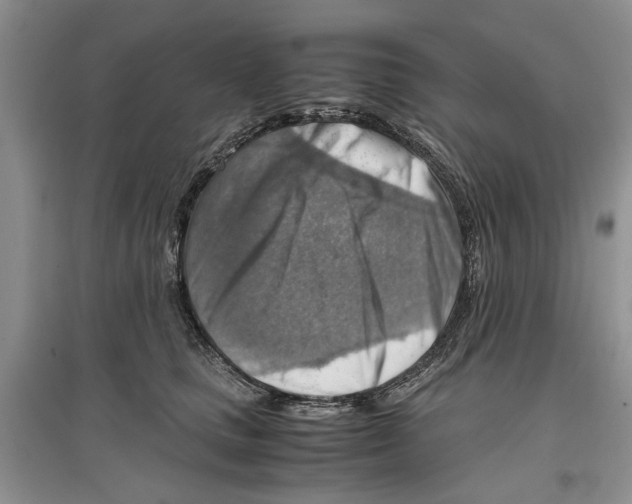 X0000097300661200803141533