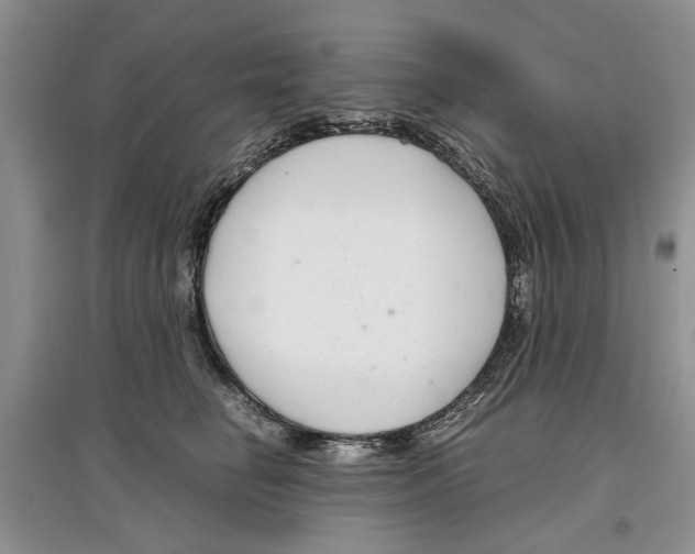 X0000097300662200803141533