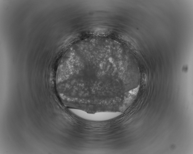 X0000097300663200803141533
