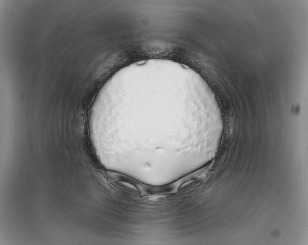 X0000097300664200803141533