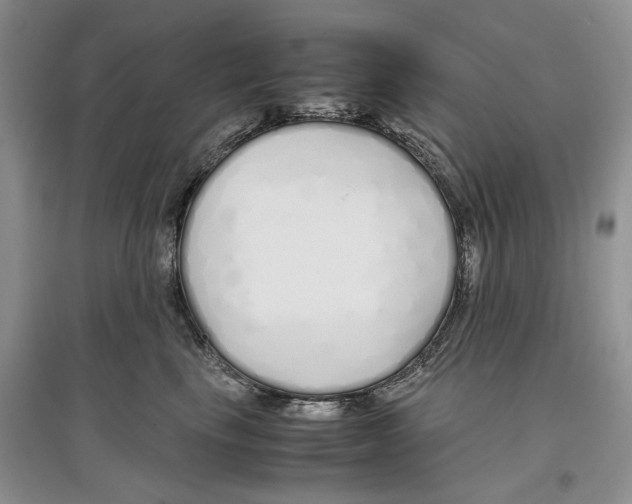 X0000097300665200803141533