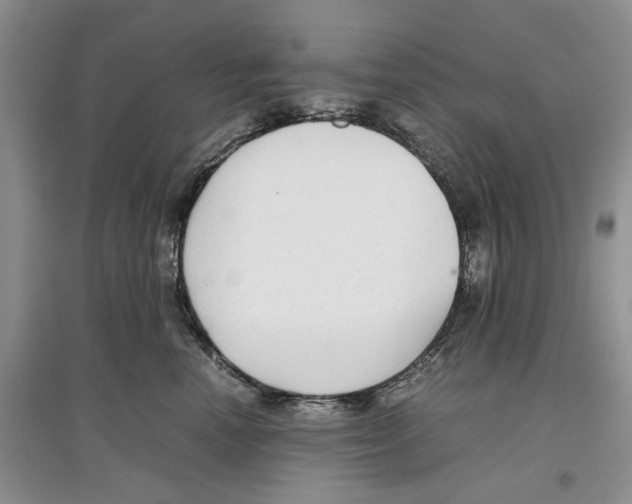 X0000097300666200803141533