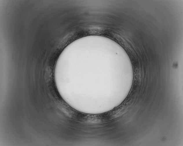 X0000097300667200803141533
