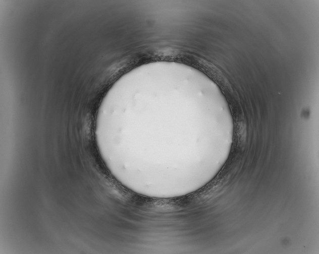 X0000097300668200803141533