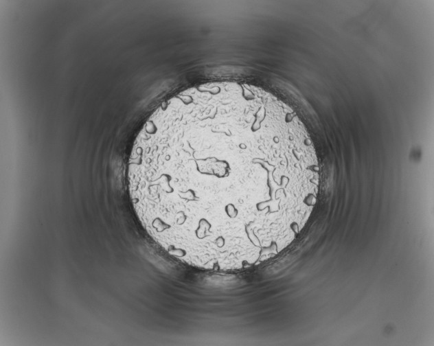 X0000097300669200803141533