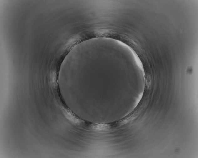 X0000097300670200803141533