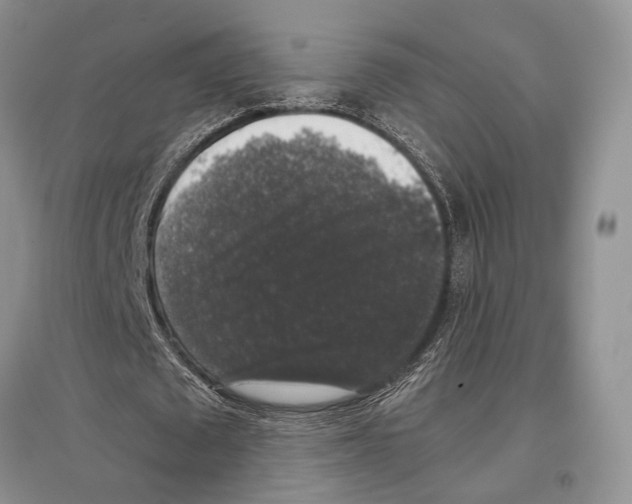 X0000097300673200803141533