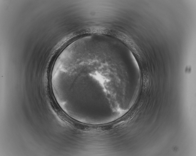 X0000097300674200803141532