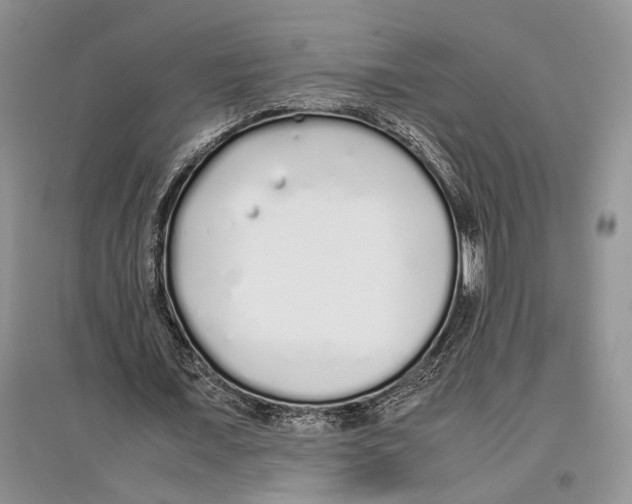 X0000097300675200803141532