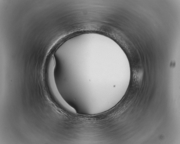 X0000097300676200803141532
