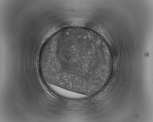 X0000097300677200803141532
