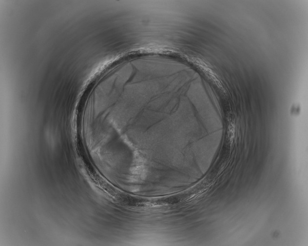 X0000097300678200803141532