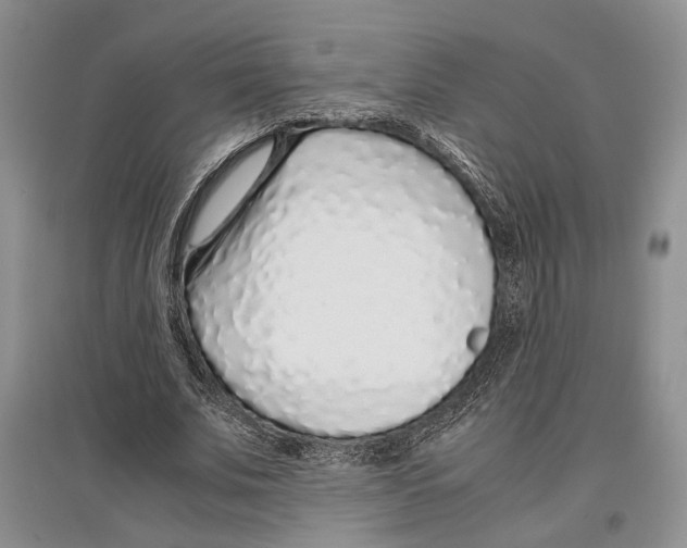 X0000097300679200803141532