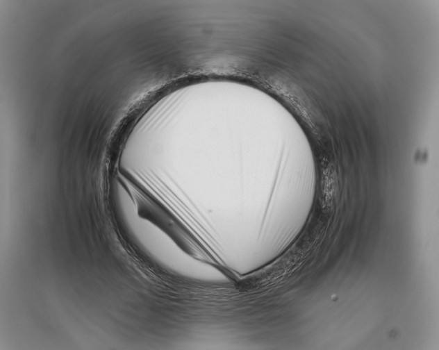 X0000097300680200803141532