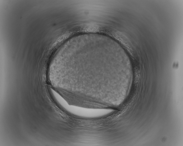 X0000097300681200803141532