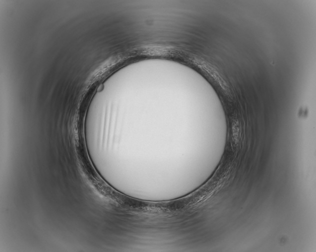 X0000097300682200803141532