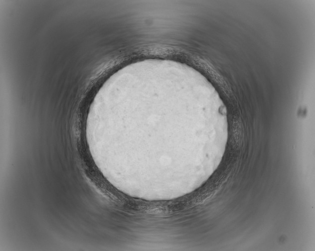 X0000097300683200803141532