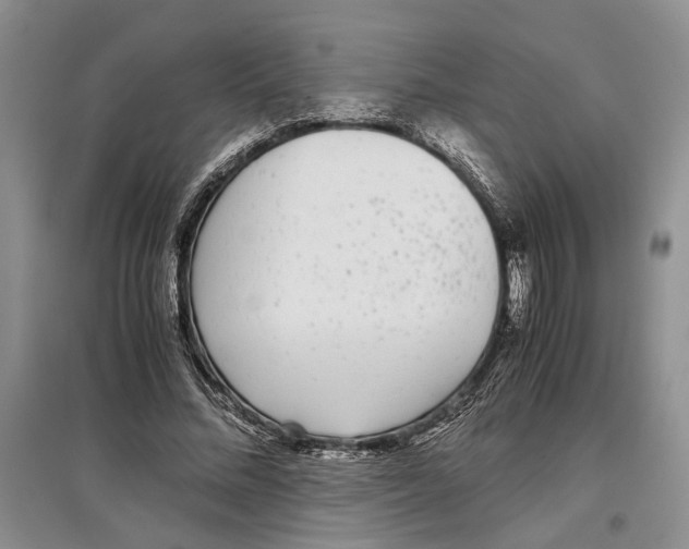 X0000097300684200803141532