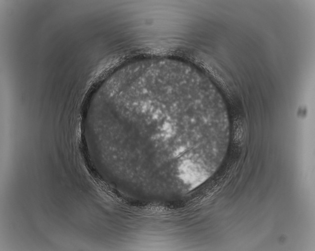 X0000097300685200803141532