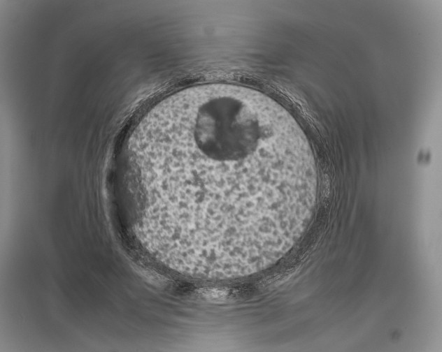 X0000097300687200803141532