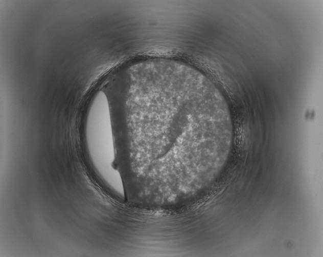 X0000097300688200803141532