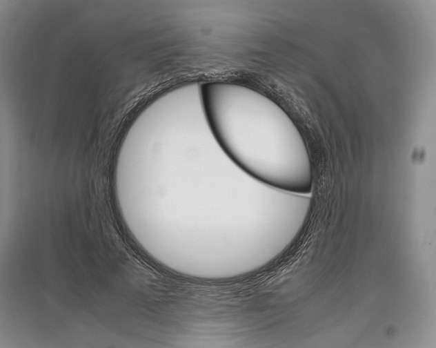 X0000097300689200803141532