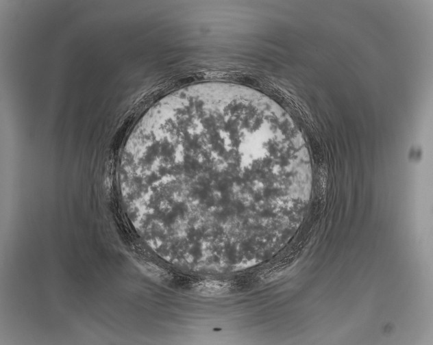 X0000097300691200803141532