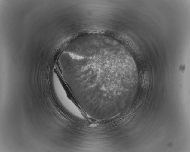 X0000097300692200803141532
