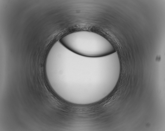 X0000097300693200803141532