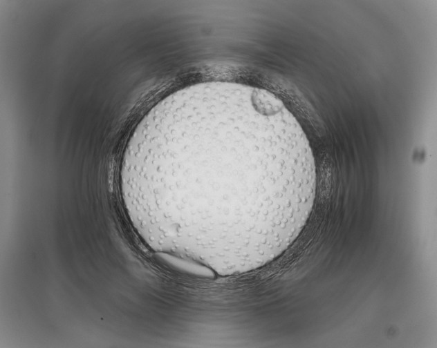 X0000097300694200803141532
