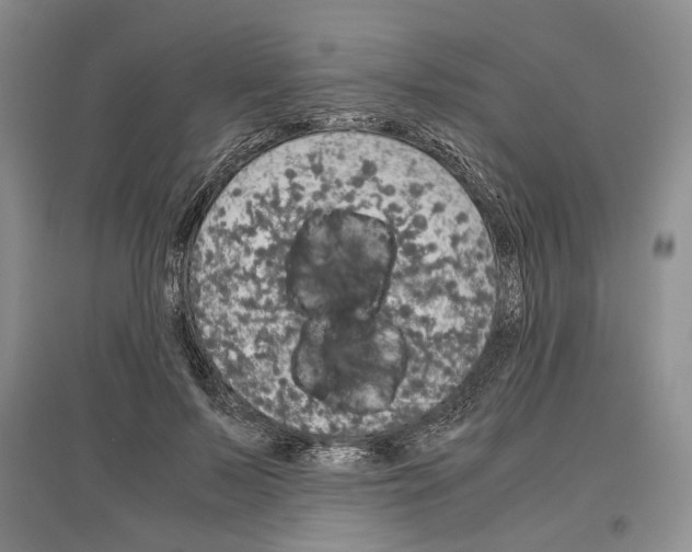 X0000097300695200803141532