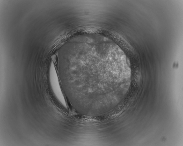 X0000097300696200803141532