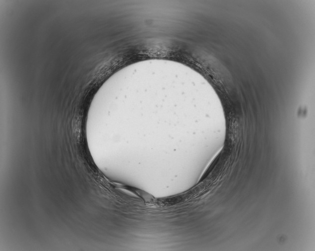 X0000097300697200803141532