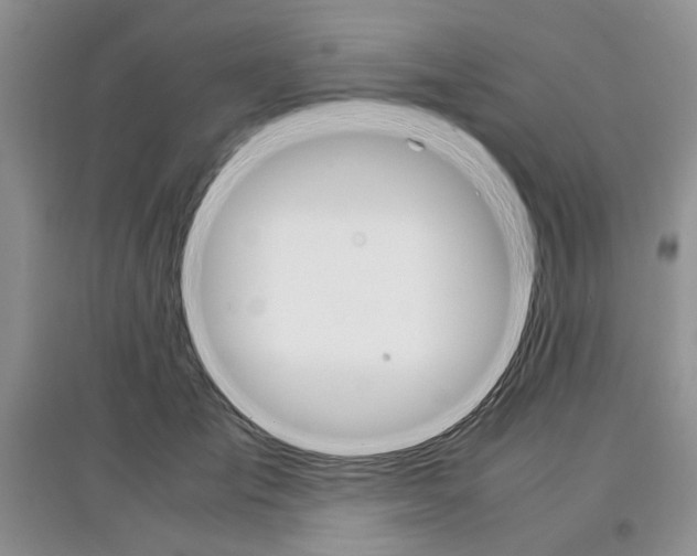 X0000097300701200803141532